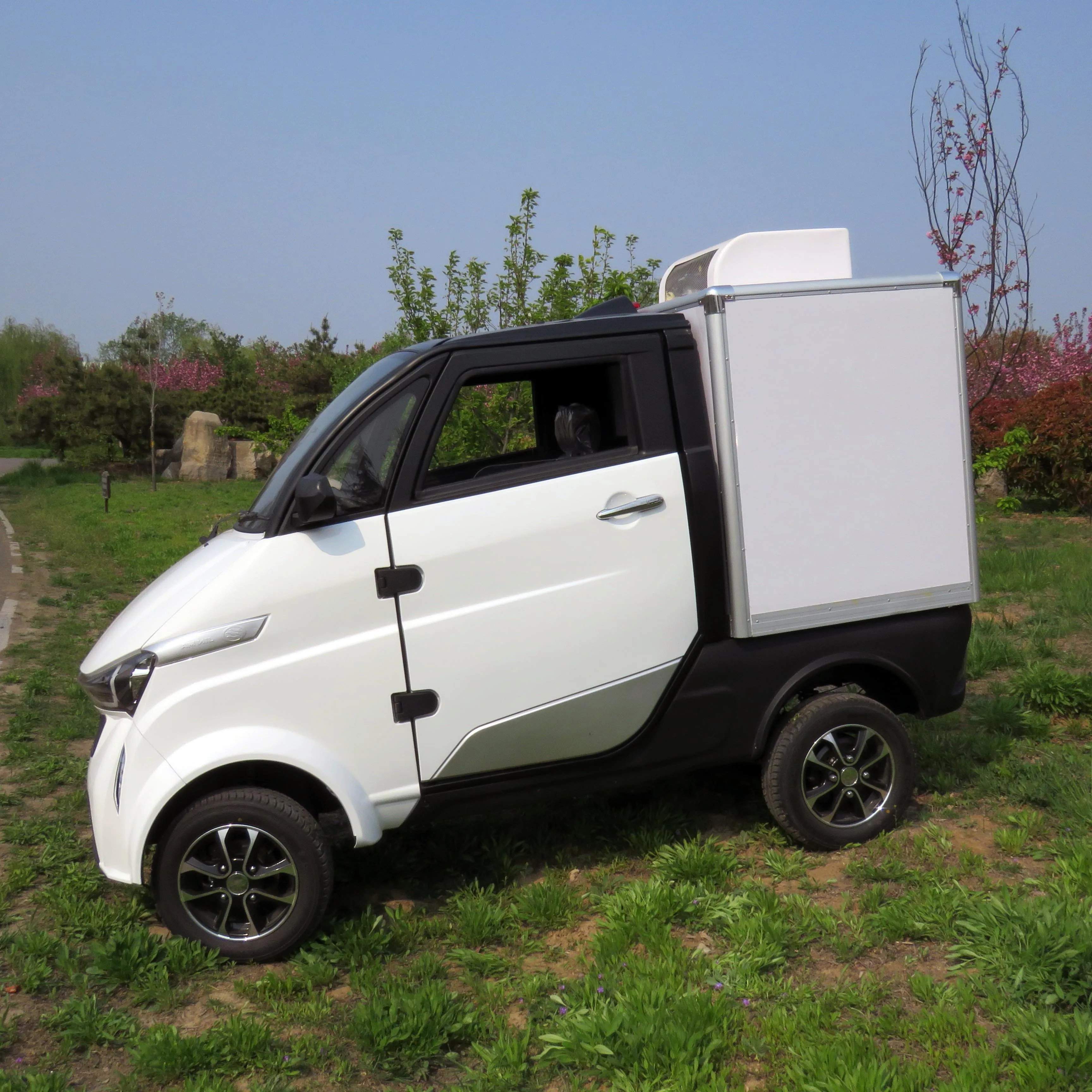 Доставка на вынос, миниатюрный электрический пищевой автофургон с EEC