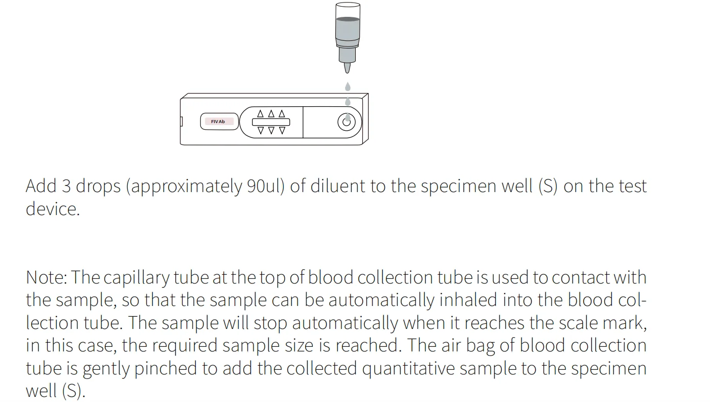 Canine Feline Triiodothyronine Thyroxine Thyrotropic Hormone Blood Test