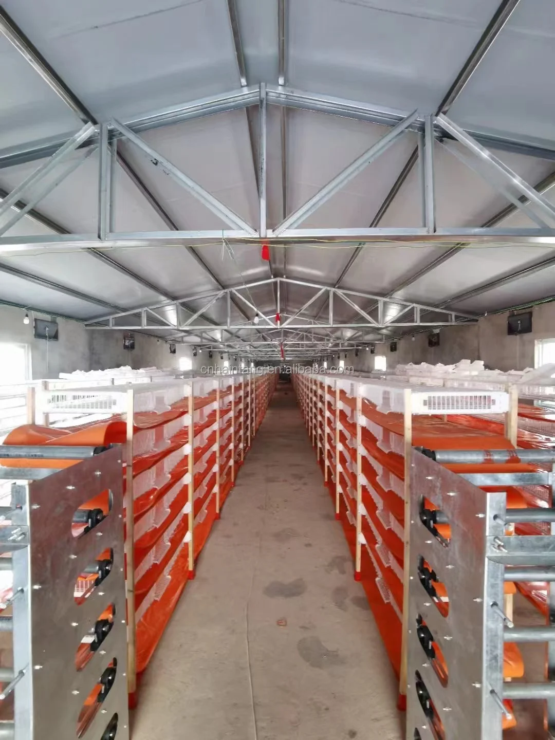 Pvc Material Automatic Quail Cage Buy Commercial Quail Cages,Quail
