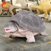 Costume da tartaruga
