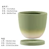 Macchie rotonde sfumate verde oliva