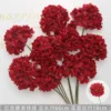 Red candy hydrangea