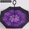 Purple Chrysanthemum
