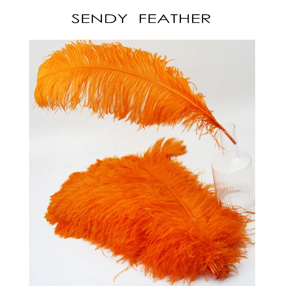 カーニバル衣装 レッド フェザー 純正ダチョウ羽 卸売フェザーサプライヤーパーティーフェザー染め人工ダチョウ羽