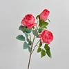 3 สีชมพูเข้ม