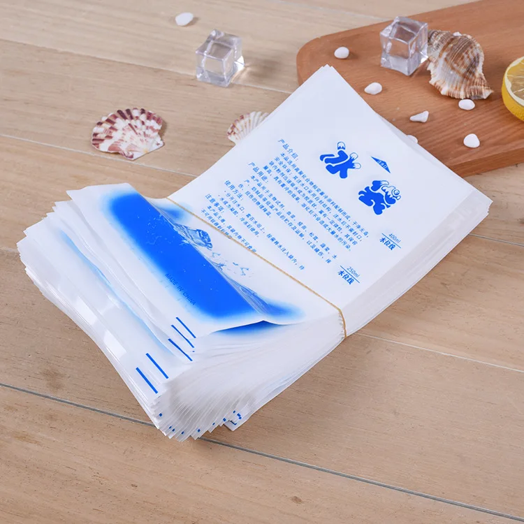 Factory Directly Wholesale Food Grade Dry Ice Packs Cooler Bag Ice Boxes Reusable For Cold Fresh