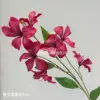 Orquídea de fuego de 7 cabezas