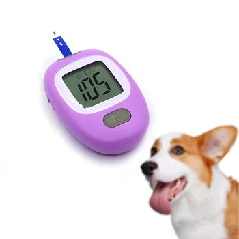 BERRY Blood Glucose Test Strips Veterinary Instrument Without Meter for Glucose Meter
