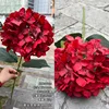 #7 Rojo