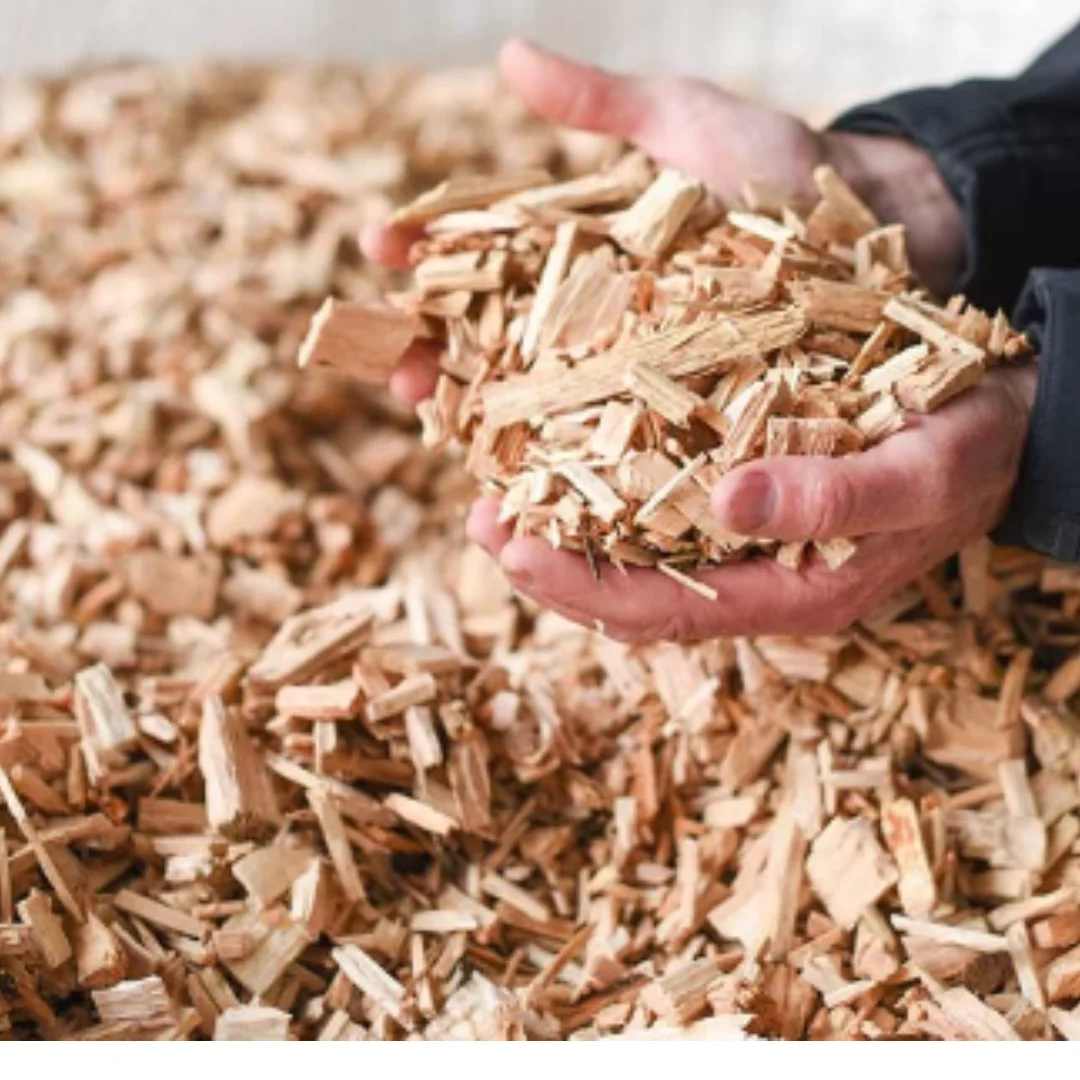 Wood Chips Wood Chips Peeled Acacia Meet Quality Standards For Wood