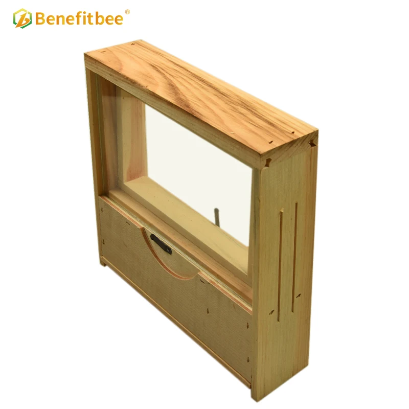 Benefitbee Beekeeping Mini Beehive Transparent Bee Hive Observation Beehive