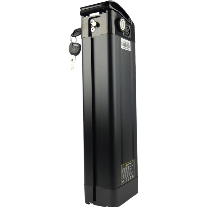 lithium ion battery price for bike