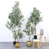 Green Olive tree (comes with a black base)