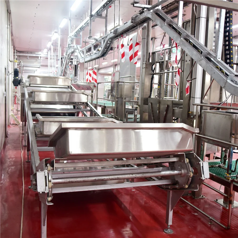 Sheep Butcher Customized Lamb Slaughterhouse Craftsmanship