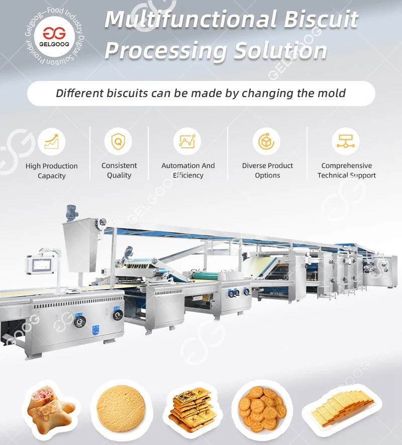 Auto Panda Biscuits Production Line Crispy Biscuit Hard Soft Biscuit ...