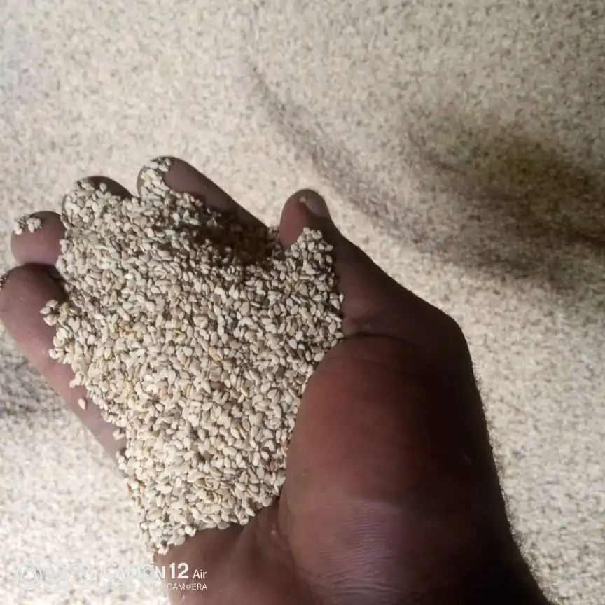 Natural White Black Flower Sesame Seed From Nigeria Sudan Niger