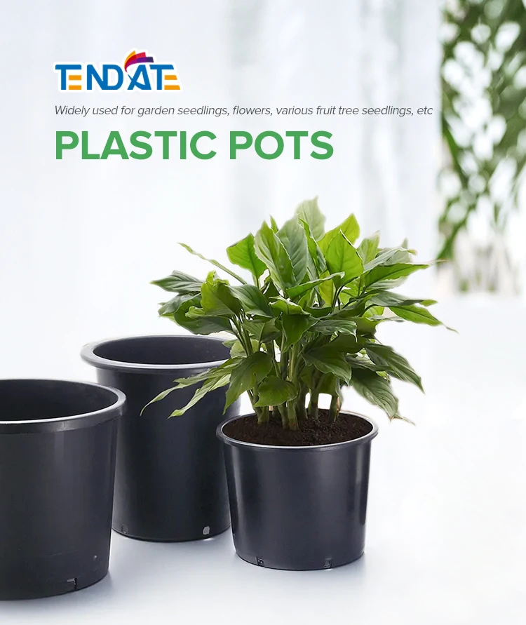 Cheap Price Multiple Specifications Garden Black Plastic Flower Pot