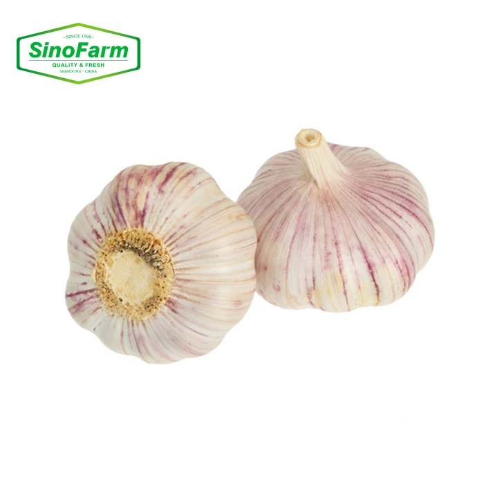 2020 Chinese Best Normal White Garlic Purple Garlic,  New crop and Hot sales