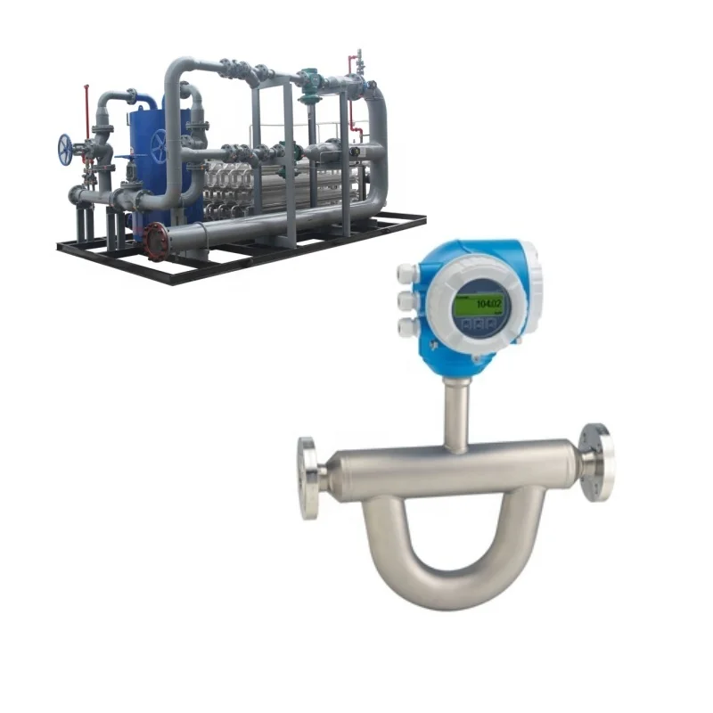 Medidor de vazão original E+H Instrumento Endress+Hauser Proline Promass Q 300 Coriolis Medidor de vazão de massa com sistema montado em skid