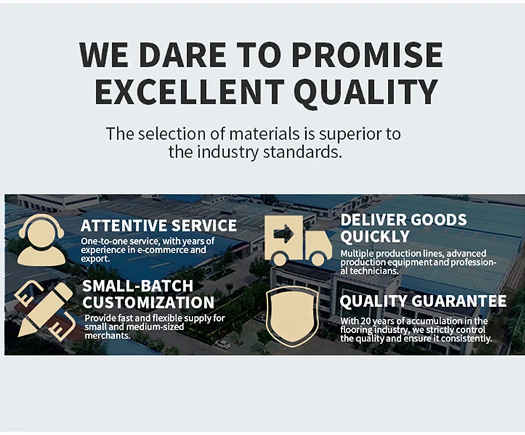 Indoor Door Mats Weather-Resistant TPE Rubber Backed Doormat for Entryway(图12)