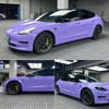 Lavender Purple