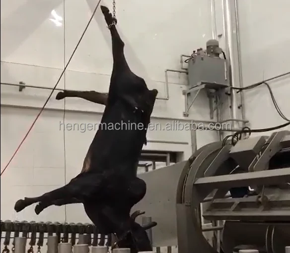 Alibaba.com: Cattle Slaughter Machine, Pig Slaughtering Equipment, CE ...