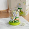 Royaume caché-épiphyllum avec cache-poussière-170 pièces