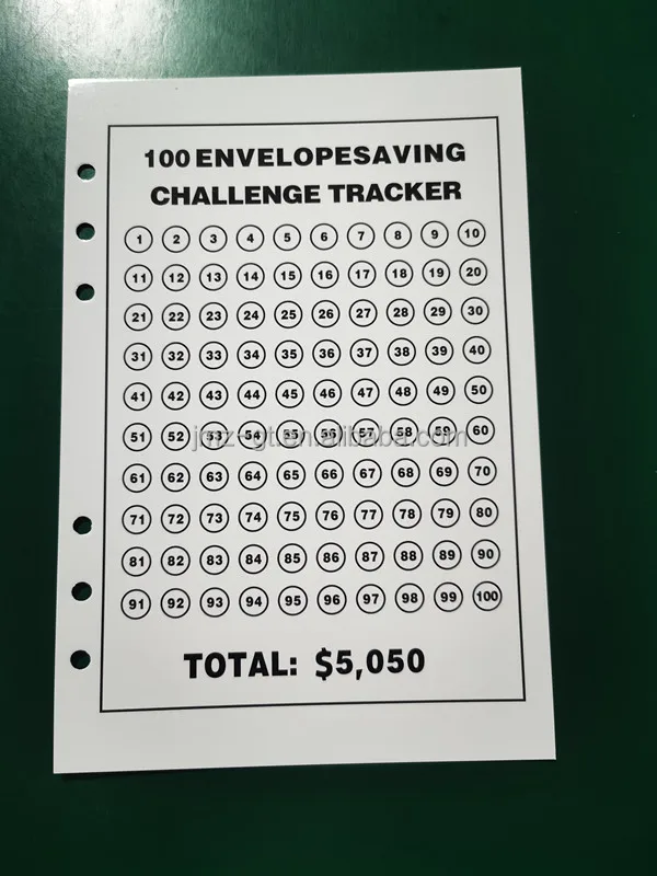 100 Envelope Money Saving Box A5 Budget Binder Organizer Savings ...