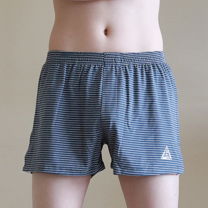 Sous-vêtements transparents en maille pour hommes, boxers élégants, respirants, Sexy, soie glacée, vente en gros, sous-vêtements gai, 378_voghion.com