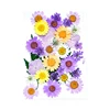 Purple2