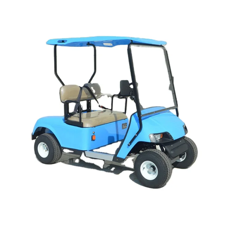 Voiturette de golf électrique 2 places Custom Parison 2025 2025SDZX12PTPR22801