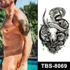 TBS-8069