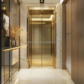 Customized Luxury Home Lift Passenger Elevator Traction Drive System for Hotels Malls and Villas