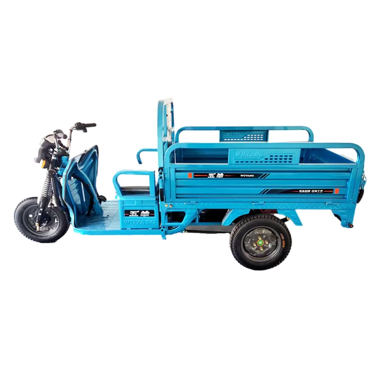 Factory Directly Supply China 3300*1100*1400mm Adult Electric Tricycle