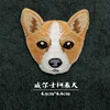 3#WELSH CORGI