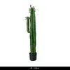Colonne verte immortelle 110cm