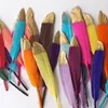 Coltello per miscelazione colori casuale con testa dorata a spruzzo