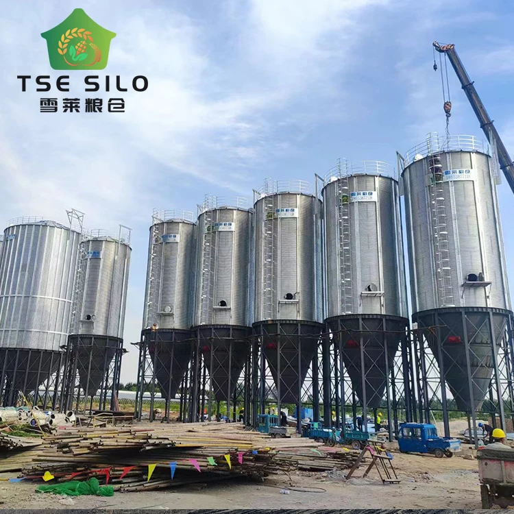 Small Grain Steel Silo,3t/5t/10t/15t Small Silo,poultry Silo for Sale