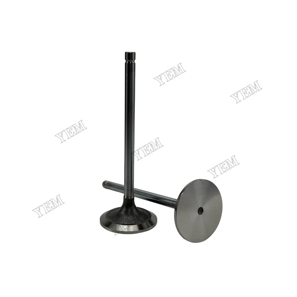 Intake Valve TR98062 Fit for John Deere 4045D Engine 3