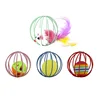 Palline in gabbia colorate