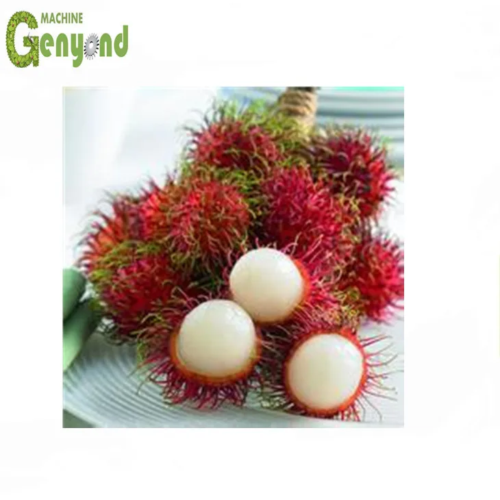 Shanghai Litchi Longan Lychee Peeling Machine for Juice Processing Line