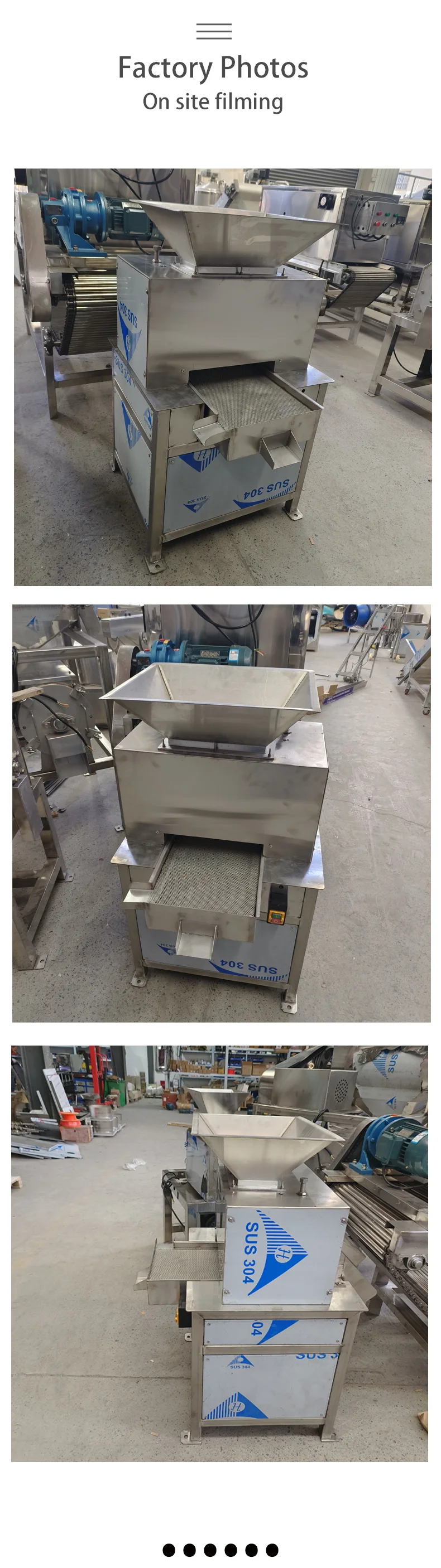 Industrial Extractor Juice Maker Passion Fruit Machine Pulpe details