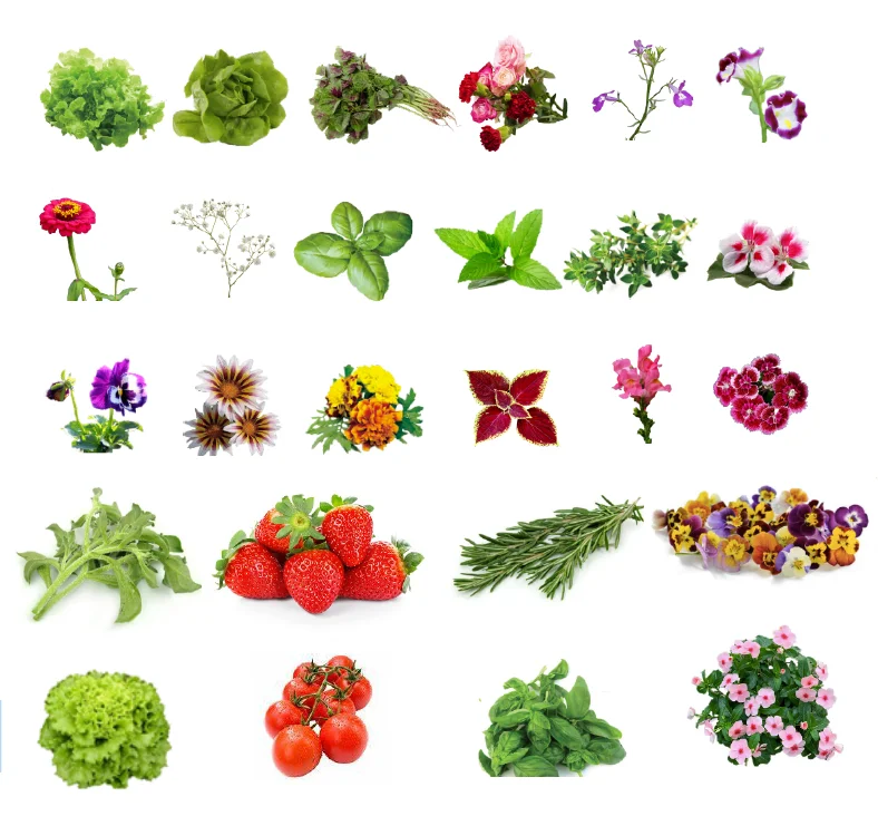 suitable for plants.png