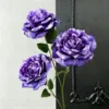 สีม่วงเข้ม