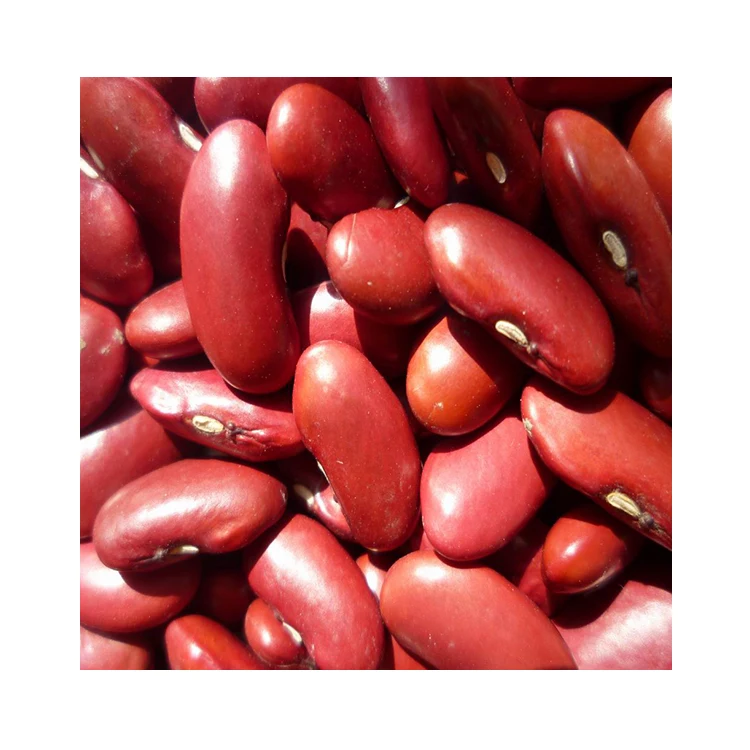 superior vacuum packed canned dried beans red kidney bean - buy