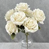 Bianco crema