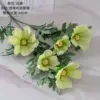 Vert clair