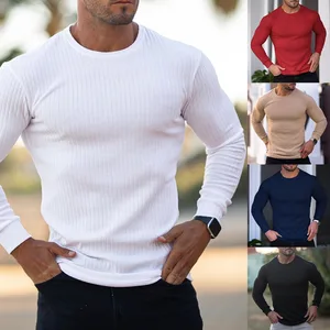 Autumn Men's Sports and Leisure Stand up Collar Elastic Vertical Stripe Round Neck Long Sleeved T-shirt