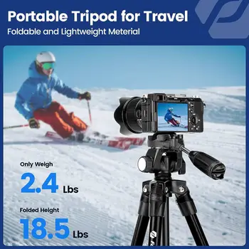 Fotopro 60" Travel Tripod Tilt Head Quick Release Plate Phone Dslr Camera Max Load up 5.5lbs Lightweight Video Tripod detail image