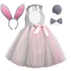 Costume da coniglio